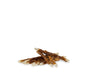Petstyle Living Rawhide Twisted Stick with Duck – 12,5cm