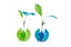 Beeztees ROLLY BOLLY Cat Toy
