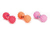 Beeztees Halter+Spiny Balls Vinyl – Assorted