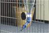 Beeztees Drinking Bottle Holder