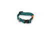 Beeztees UNI Nylon Collar - Dark Green