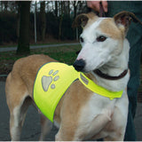 Beeztees Reflective Safety Jackets