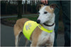 Beeztees Reflective Safety Jackets