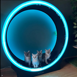 Forpöntun - Petlux Running Wheel V2 - LED Svart