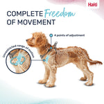 Halti Anatomy Harness Grey