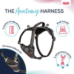 Halti Anatomy Harness Grey