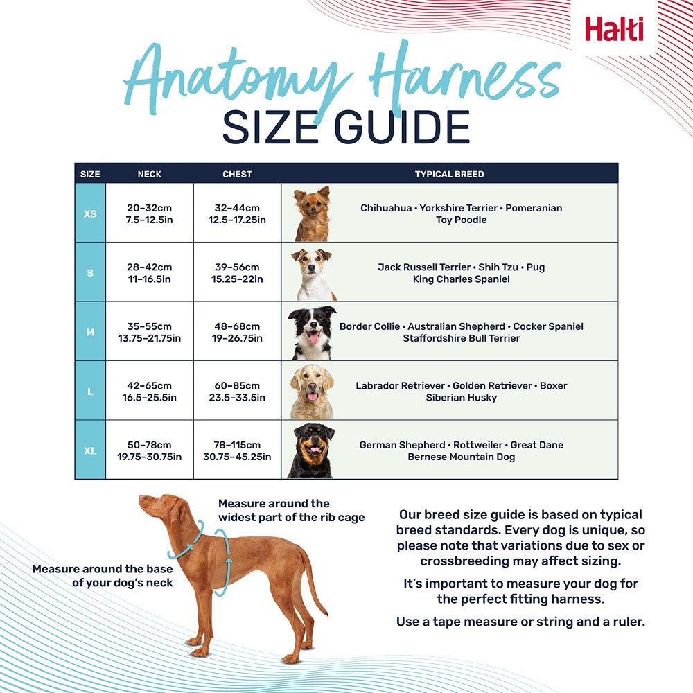 Halti Anatomy Harness Grey