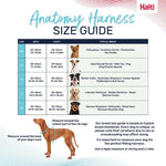 Halti Anatomy Harness Grey