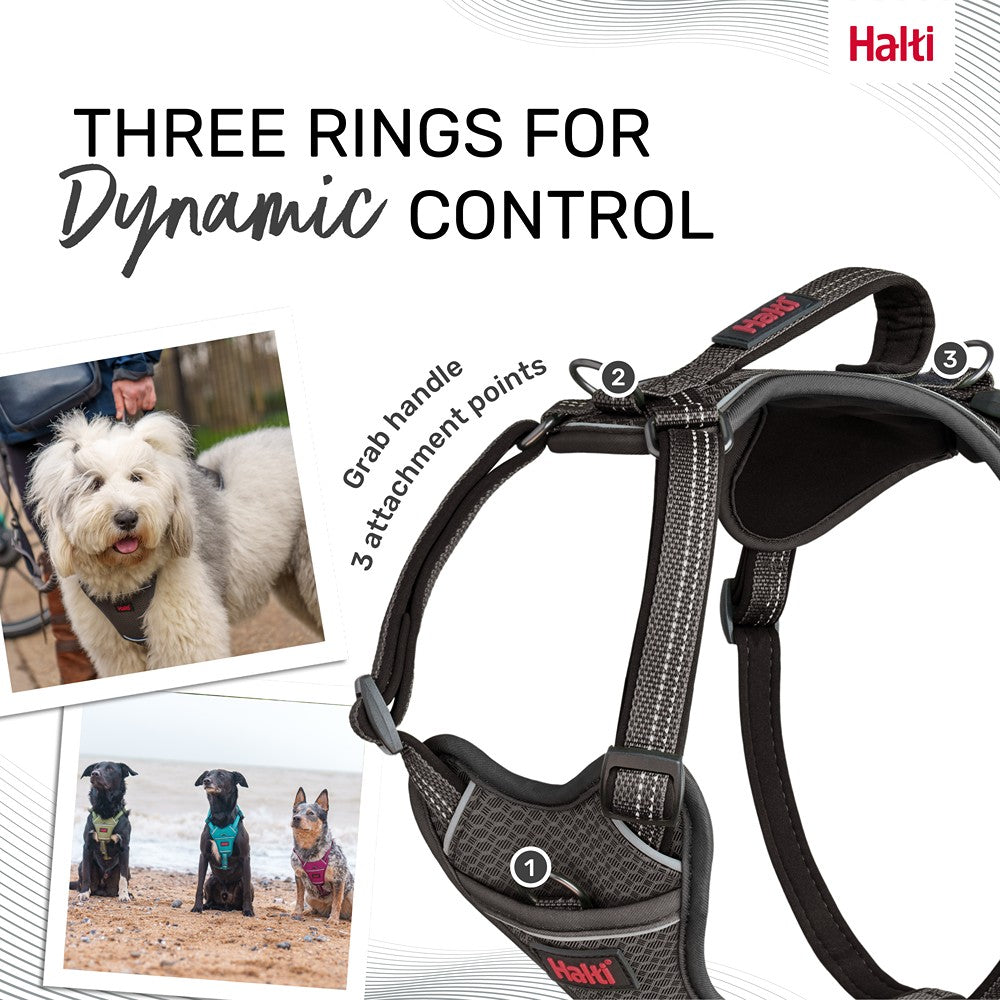 Halti Anatomy Harness Grey