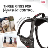 Halti Anatomy Harness Grey