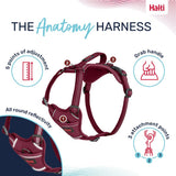 Halti Anatomy Harness Magenta