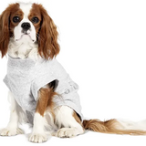 Karlie Safety Body - Grey