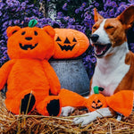 Beeztees Halloween Pumpkin Bear, appelsínugulur bangsi með haus eins og grasker