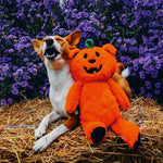 Beeztees Halloween Pumpkin Bear, appelsínugulur bangsi með haus eins og grasker