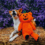 Beeztees Halloween Pumpkin Bear, appelsínugulur bangsi með haus eins og grasker