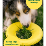 Earth Rated Fly Toy