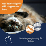 Dr. Clauder's Antihairball Paste with Taurine 100g