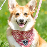 Hugo & Hudson Fabric Dog Bandana - Red Star