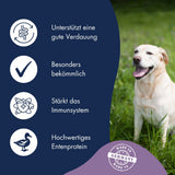 Dr.Clauder´s Best Choice - Hyposensetive Duck & Potato