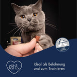 Dr. Clauder's Horse Trainee Snack – 80gr