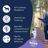 Dr. Clauder's Horse Trainee Snack – 80gr