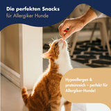 DC Trainee Snack Insekt 80g