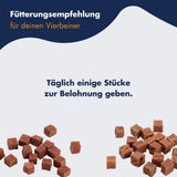Dr. Clauder's Trainee Snacks Mega Mix 2 - 500g