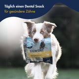 Dr. Clauder´s Dental Snack Chicken Small Breed - 80gr