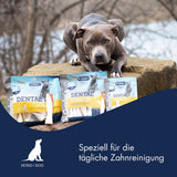 Dr. Clauder´s Dental Snack Chicken Medium Breed - 170gr