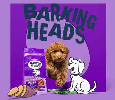 Barking Heads