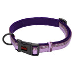 Halti Collar X-Small Purple