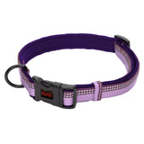 Halti Collar X-Small Purple
