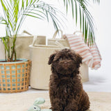 Bz Puppy Cuddle Cloth Wuggie Grn 31X31