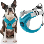 Gooby Memory Foam Step-in Harness Turquoise Medium