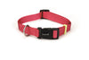 Beeztees UNI Nylon Collar - Pink