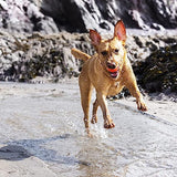 Chuckit! Fetch Medley Medium