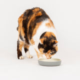 Scruffs Classi Pet Saucer 13cm