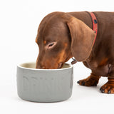 Scruffs Classi Water Bowl 15cm