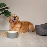 Scruffs Classic Drink Bowl - Grey