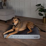 ArmourDillo Orthopaedic Dog Bed - Large