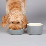 Scruffs Classic Food Bowl Grey 15cm