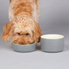 Scruffs Classic Food Bowl Grey 15cm