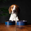 Scruffs Reactive Glaze Food Bowl Midnight Blue