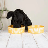 Scruffs Aztec Food Bowl Sunflower 15cm