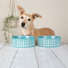 Scruffs Aztec Food Bowl Turquoise 15cm
