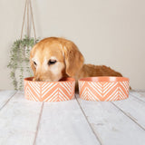 Scruffs Aztec Food Bowl Terracotta 19cm