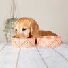 Scruffs Aztec Food Bowl Terracotta 19cm