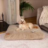 Scruffs Oxford Mattre Camel 60cm