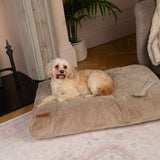 Scruffs Oxford Mattre Camel 60cm