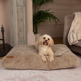 Scruffs Oxford Mattre Camel 60cm